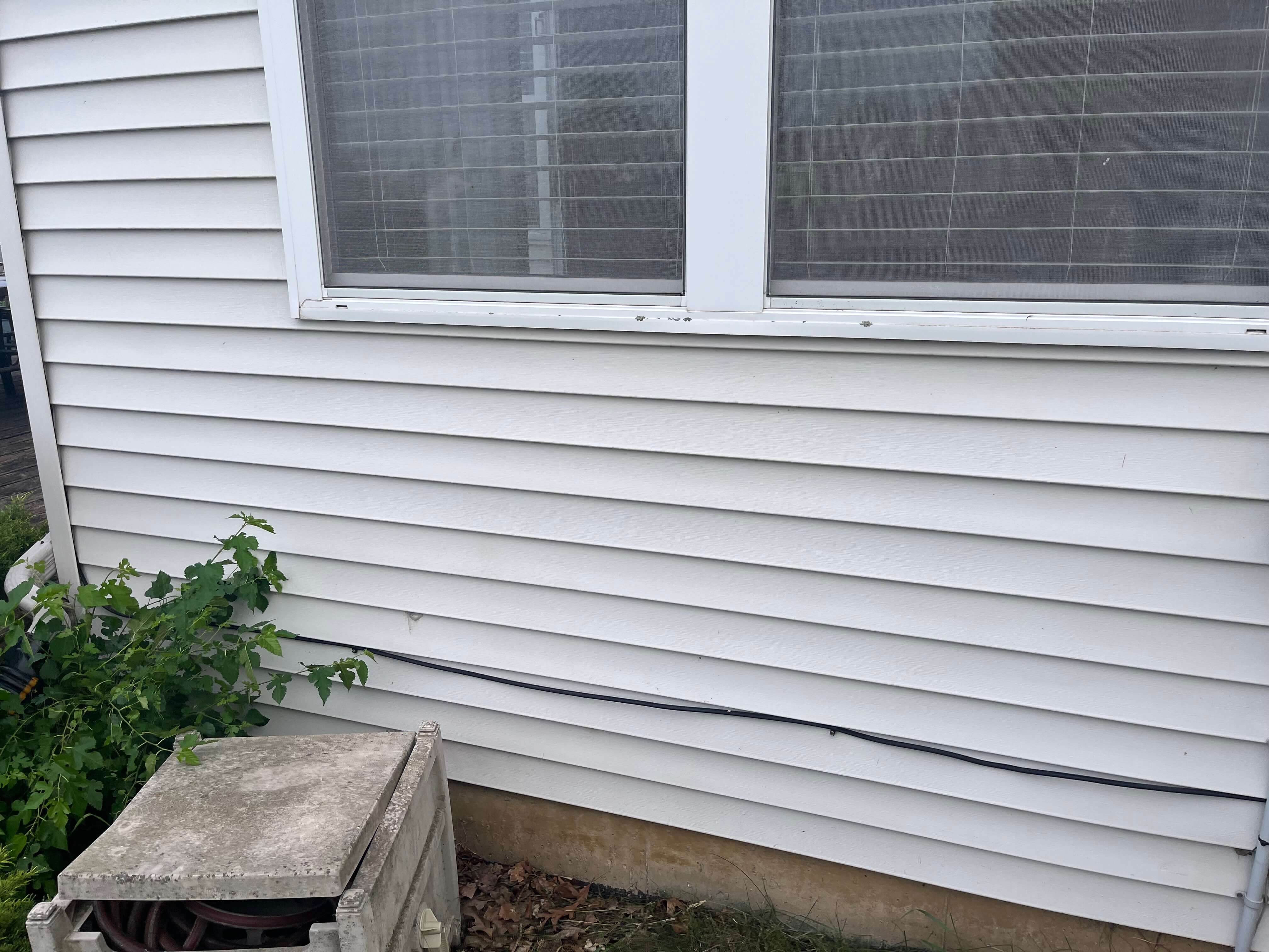 Siding after cleaning